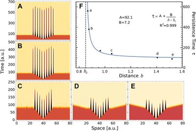 Transient Turing patterns in a morphogenetic model